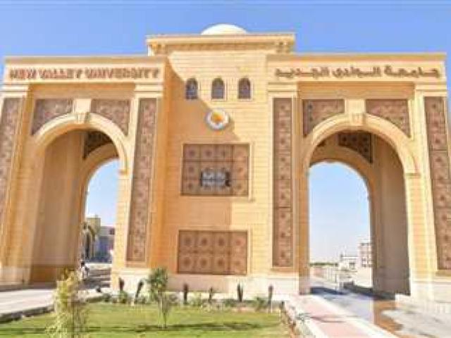 جامعة جنوب الوادي